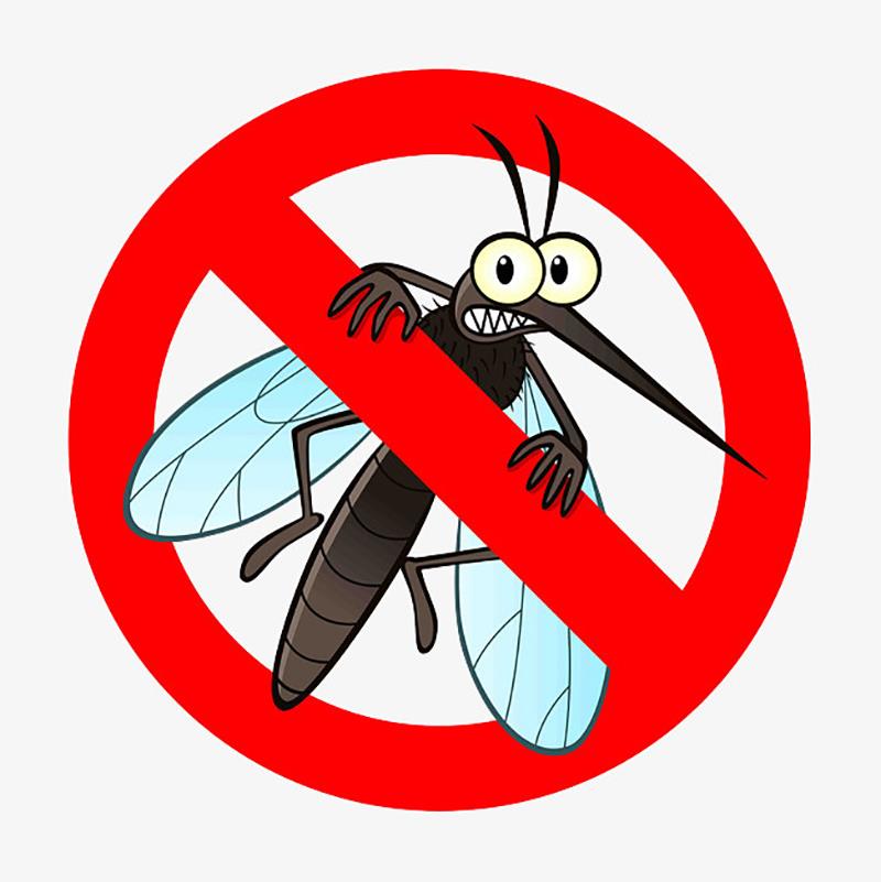 Care sunt diferitele tipuri de țânțari?